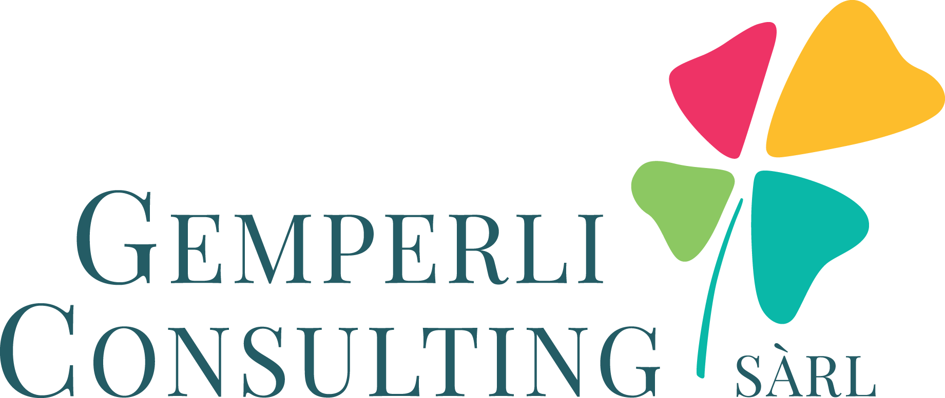 http://amiable-test.ch/wp-content/uploads/2020/11/logo_gemperli_consulting_2lignes_couleur_pos_RVB.png